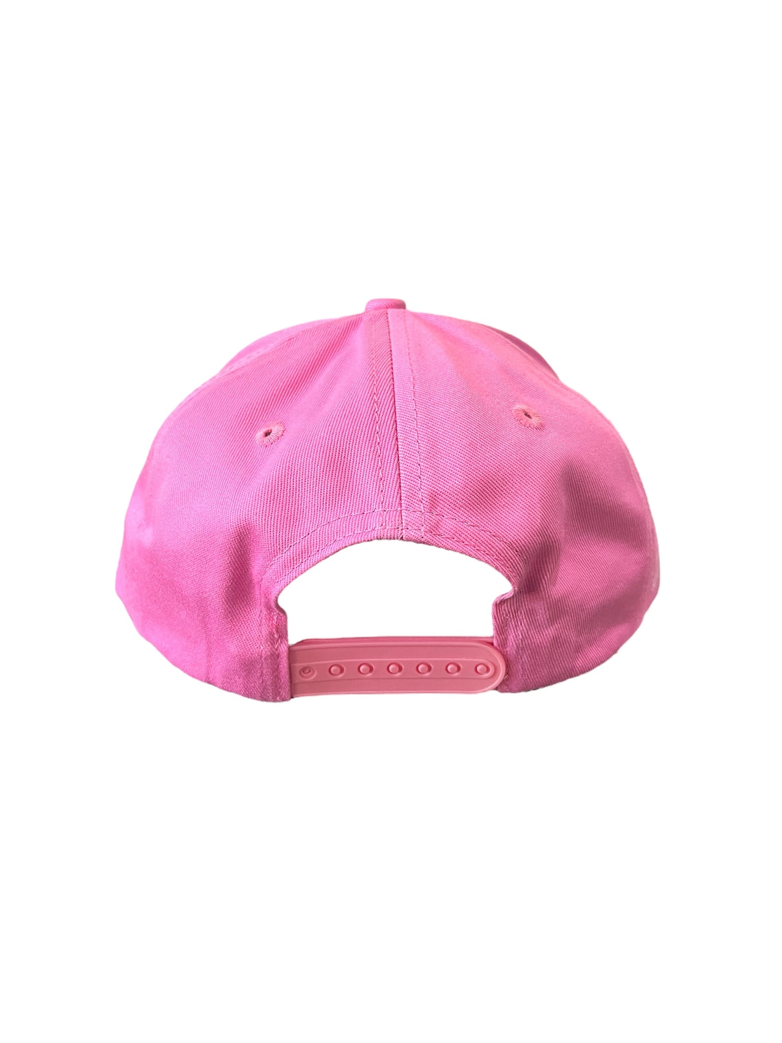 313 Dad Cap Pink/Green