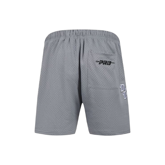 Pro Lions Logo Mesh Shorts Gray
