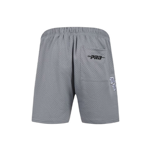Pro Lions Logo Mesh Shorts Gray