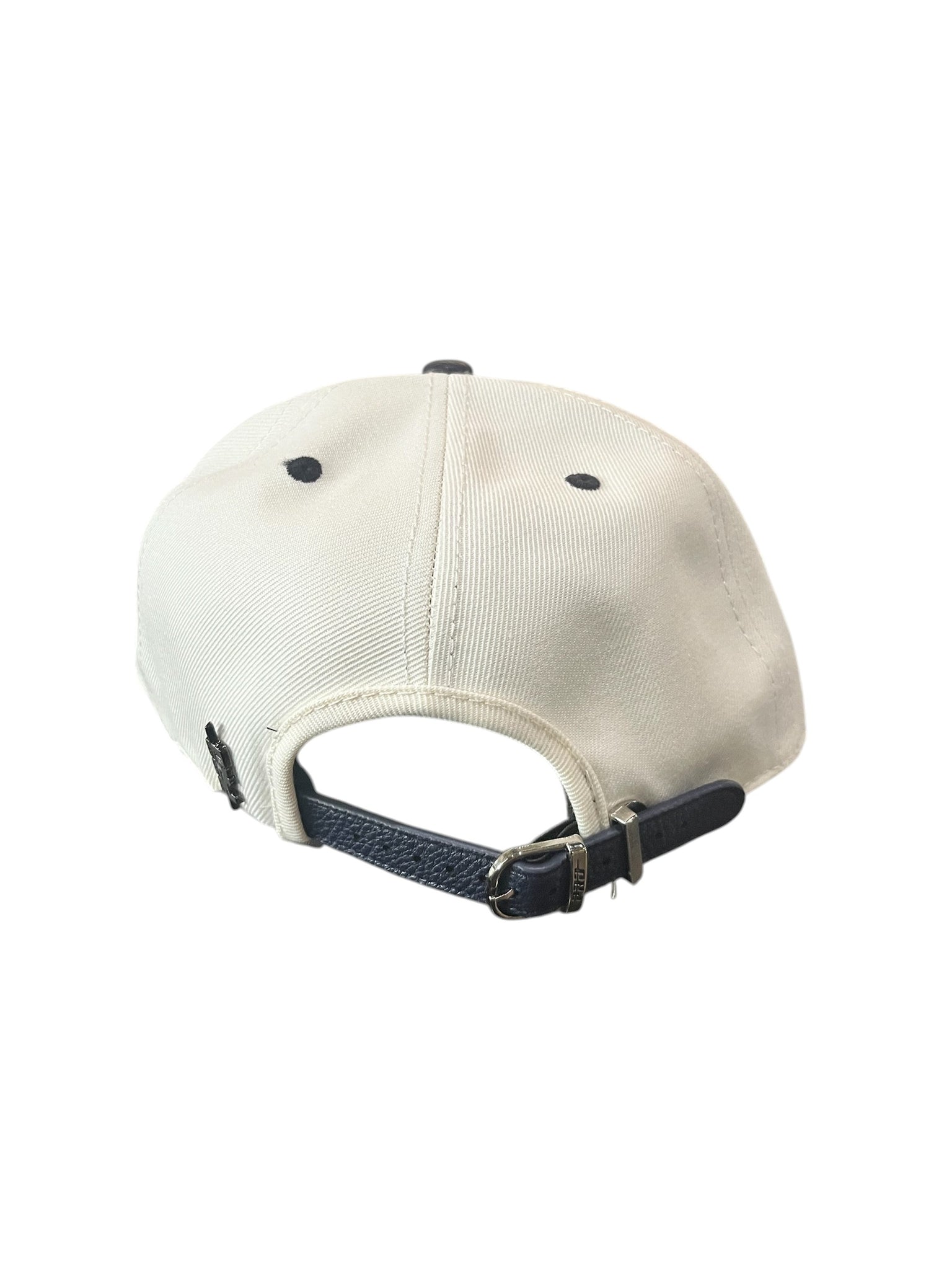 Pro Lions CHROME DAD HAT