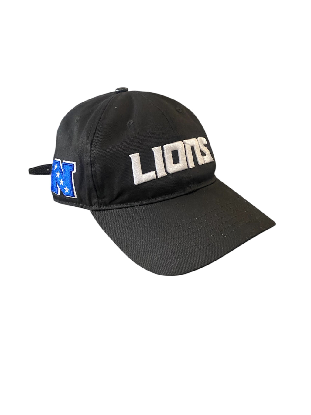 Pro Lions WORDMARK DAD HAT – Three Thirteen Store