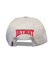 Pro Red Wings Embroidered Snapback Gray